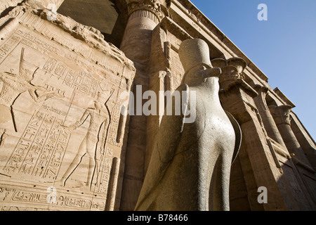 Close up de la statue d'Horus de Behdet sur le parvis à l'entrée de la première salle hypostyle, Temple d'Edfou Egypte Banque D'Images