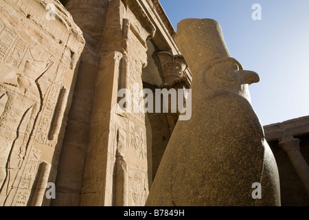 Close up de la statue d'Horus de Behdet sur le parvis à l'entrée de la première salle hypostyle, Temple d'Edfou Egypte Banque D'Images