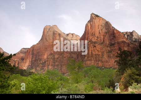 Cour des patriarches à Zion Canyon Zion National Park Utah Banque D'Images