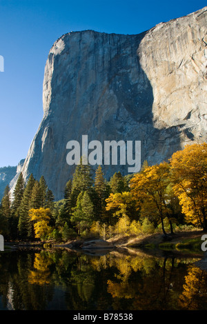 EL CAPITAN et la Merced river run à travers la vallée Yosemite en automne YOSEMITE NATIONAL PARK CALIFORINA Banque D'Images