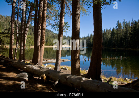 LUKENS Lake se trouve à 3 mile randonnée de White Wolf camp hors de la Tioga pass road YOSEMITE NATIONAL PARK CALIFORINA Banque D'Images