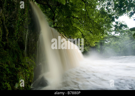 Sgwd Ddwli, Afon Nedd Fechan, au Pays de Galles Banque D'Images