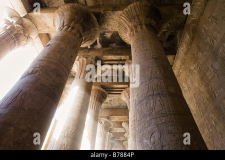 À la recherche vers le plafond à travers les colonnes de la salle hypostyle au Temple d'Edfou Egypte Banque D'Images