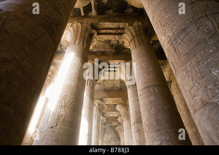 À la recherche vers le plafond à travers les colonnes de la salle hypostyle au Temple d'Edfou Egypte Banque D'Images