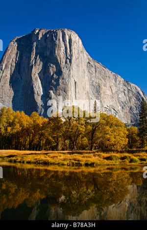 EL CAPITAN s'élève au-dessus de la rivière Merced au cours de l'automne YOSEMITE NATIONAL PARK CALIFORNIA Banque D'Images