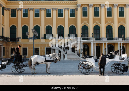 Transport de chevaux en face de palais de Schönbrunn, Vienne, Autriche, Europe Banque D'Images