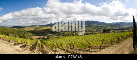 Paysage typique de vignes et de forêts près de San Casciano in Chianti, Toscane, Italie, Europe Banque D'Images