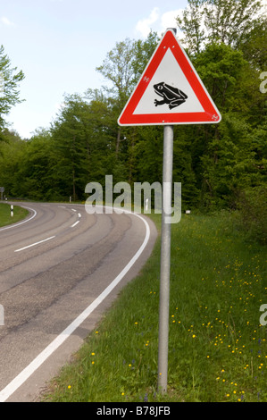 Allemagne, Bade-Wurtemberg, signe, la migration du crapaud Banque D'Images