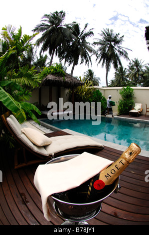 Bouteille de champagne en champagne refroidisseur, suite de luxe, Laguna Resort, les Maldives, l'Océan Indien Banque D'Images