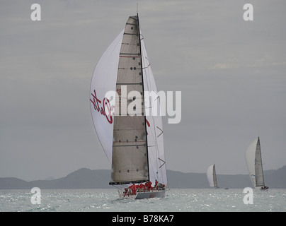 Bob Oatley's yacht racing Wild Oats navigue dans l'Audi Hamilton Island Race Week Banque D'Images