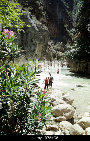 Canyon Saklikent gorges de la rivière Esen, Cay, rock canyon dans les montagnes Akdagi, Fethiye, Province de Mugla, Turquie Banque D'Images