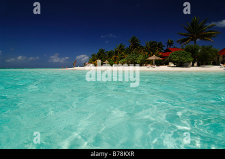 Beach bungalows au Kurumba Resort, les Maldives, l'Océan Indien Banque D'Images