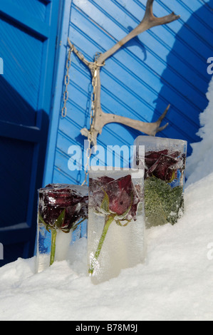 Les portes d'entrée de l'igloo-hôtel avec ses bois de caribou, la neige, l'hôtel Kirkenes, Finnmark, Laponie, Finlande, Scandinavie, Europe Banque D'Images