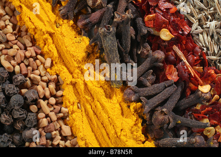 Macro d'un assortiment d'épices utilisé dans les currys,poivre : les graines de fenugrec,sol,curcuma,girofle piments broyés et les graines de cumin. Banque D'Images