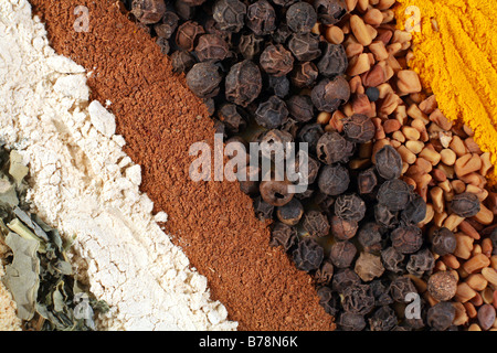 Les épices utilisées dans des currys : feuilles de fenugrec (methi),la poudre d'ail, cannelle, poivre noir, le curcuma et les graines de fenugrec Banque D'Images