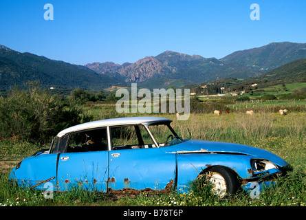 Carcasse de voiture, Citroen, Saint Florent, Corse, France, Europe Banque D'Images