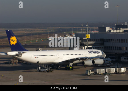 Lufthansa Airbus A340-300 avion de passagers, l'Aéroport International de Düsseldorf, Rhénanie du Nord-Westphalie, Allemagne. Banque D'Images