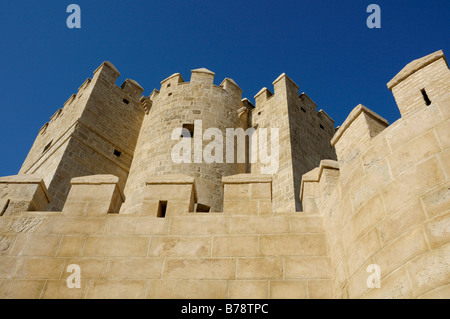 Torre de la Calahorra Tower, Cordoue, Andalousie, Espagne, Europe Banque D'Images