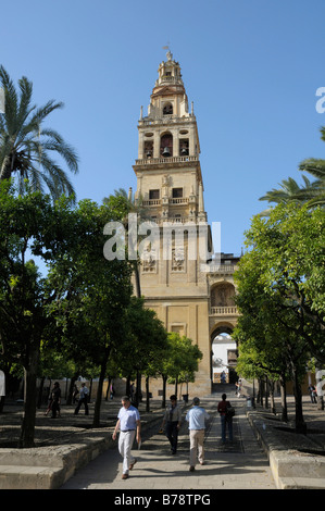 Cathédrale Mezquita, Cordoue, Andalousie, Espagne, Europe Banque D'Images