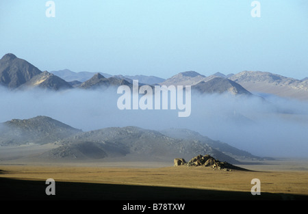 Tôt le matin le brouillard de pénétrer dans le désert côtier fournissant l'humidité pour les plantes et les insectes. Banque D'Images