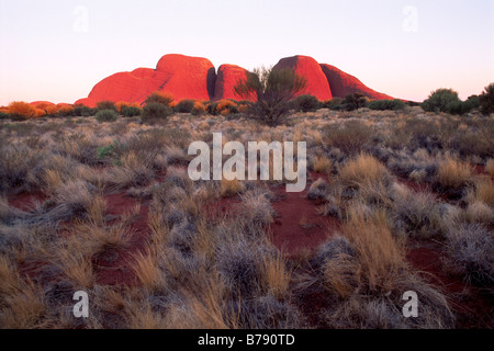 Olgas, Katja Tjuta, Parc National d'Uluru, dans le Territoire du Nord, Australie Banque D'Images