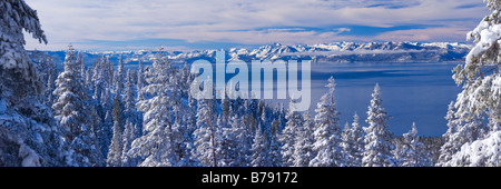 Une vue sur le lac Tahoe en Californie avec Arbres enneigés dans la matinée après une tempête hivernale Banque D'Images