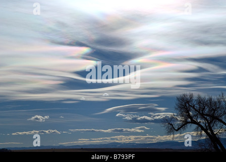 Beaux nuages lenticulaires à haute altitude avec lentille-comme frontières contre un ciel bleu foncé Banque D'Images