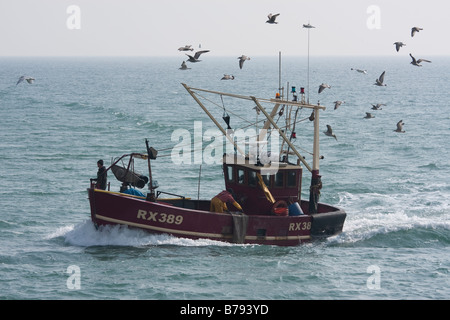 L'un des bateaux de pêche Hastings revenant d'une capture est poursuivi par la communauté locale de goélands argentés. Banque D'Images