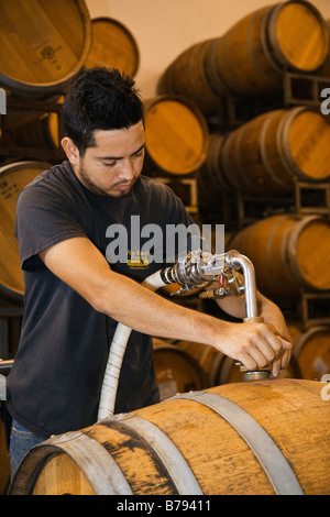 Travailleur Winery le jus de raisin les pompes d'un fût de chêne à l'autre à JOULLIAN VIGNES CARMEL VALLEY EN CALIFORNIE Banque D'Images