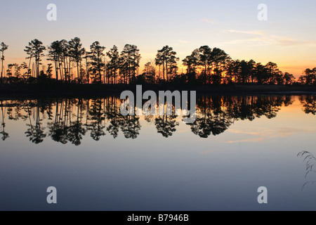 Coucher du soleil, Blackwater National Wildlife Refuge Cambridge, Maryland USA. Banque D'Images