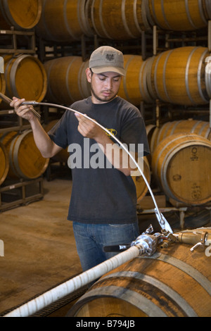 Travailleur Winery mesure le niveau de sédiments dans un fût de chêne à JOULLIAN VIGNES CARMEL VALLEY EN CALIFORNIE Banque D'Images