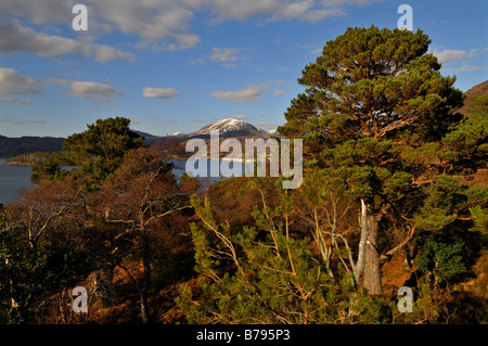 Les pics enneigés de l'élever au-delà de Torridon Loch Torridon et pinède voisine et le village de Shieldaig W. Ross Banque D'Images