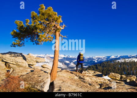 La skieuse de l'arrière-pays Sierra pics du sommet du dôme Sentinelle Yosemite National Park California Banque D'Images