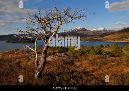 Sommets enneigés de vous élever au-delà de Torridon Loch Torridon et le village de Shieldaig Wester Ross du nord de l'Écosse Banque D'Images