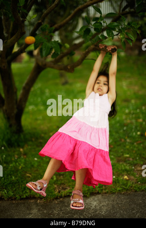 Petite fille de cinq ans grimpe dans un arbre Banque D'Images