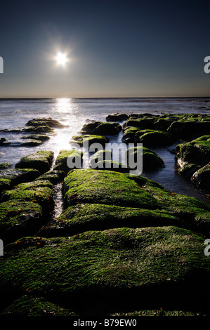Le lever du soleil, par des rochers, plage d'Exmouth, Devon, UK Banque D'Images