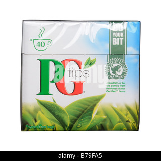 PG Tips les sachets de thé fort Banque D'Images