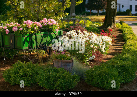 De belles fleurs s'épanouissent dans un jardin d'été Banque D'Images