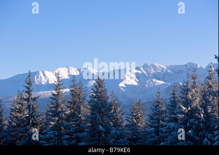 Vue sur colline Gubalowka Zakopane Tatras Pologne Région Podhale Banque D'Images