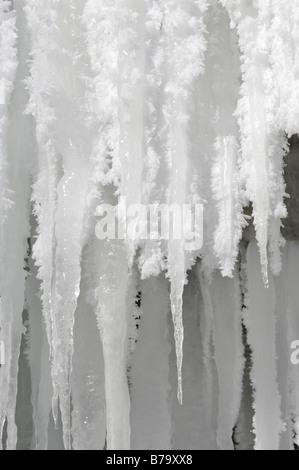 Givre blanc avec des glaçons Banque D'Images