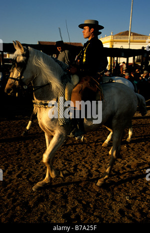 Un cavalier à cheval sur un lusitanien au cours de l'Assemblée Golegã horse festival au Portugal Banque D'Images