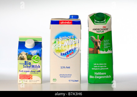 Lait de brebis frais, sans lactose, le lait de vache, le lait de chèvre biologique longlife, alternatives à du lait de vache ordinaire Banque D'Images