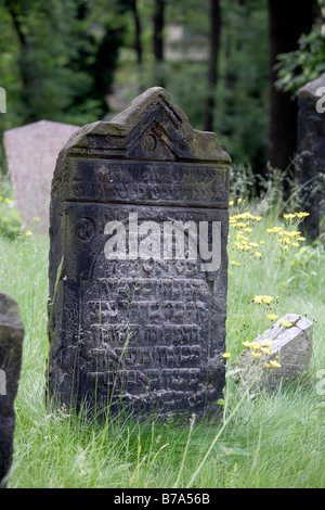 Les pierres tombales dans l'ancien cimetière juif de la Josefstadt, ou Josefov de Prague, République Tchèque, Europe Banque D'Images