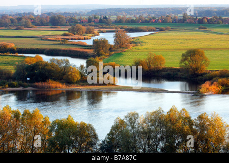 La Basse-Saxe Elbtalaue dans final automne lumière du soir, Réserve de biosphère de l'UNESCO Elbe riverscape, vue de Boizenburg dans le NAT Banque D'Images