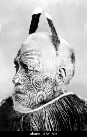 Photo historique, tatoué, chef tribal maori, ca. 1900 Banque D'Images