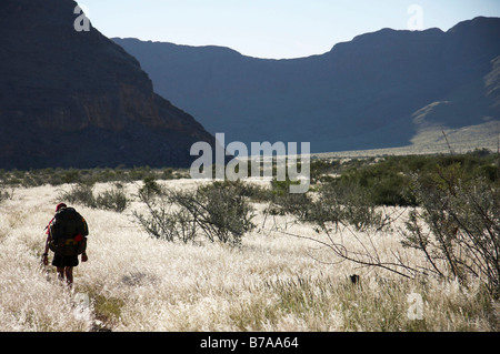 Un randonneur avec un sac à dos en se promenant dans l'herbe en contre-jour sur une vallée dans le Naukluft Banque D'Images