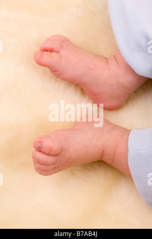 Les pieds de bébé garçon, 1 mois Banque D'Images