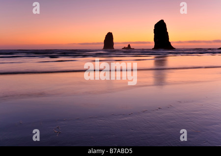 Des pierres de lave solidifiée, monolithes à Cannon Beach, comté de Clatsop, Oregon, USA, Amérique du Nord Banque D'Images