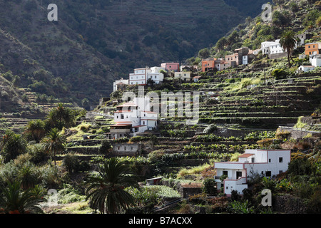 Hermigua, Estanquillo district, la Gomera, Canary Islands, Spain, Europe Banque D'Images