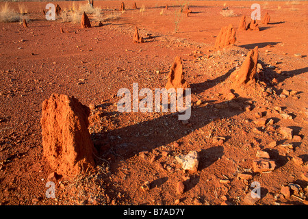 La colline de termites dans l'outback, Territoire du Nord, Australie Banque D'Images